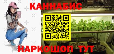 сатива Кимры