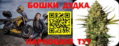 сатива Кимры