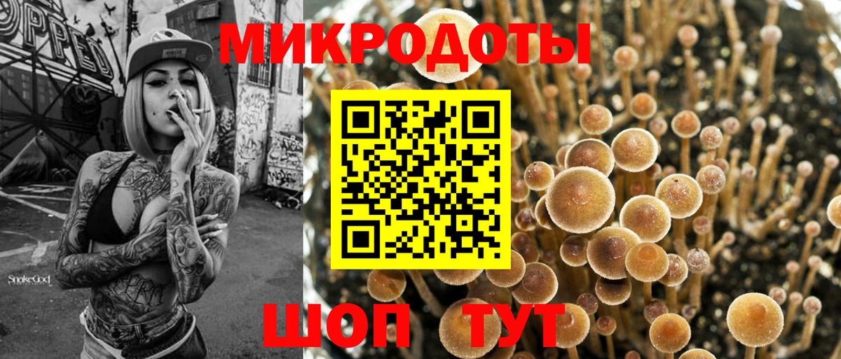 Псилоцибиновые грибы MAGIC MUSHROOMS  Вход с VPN  Кохма 
